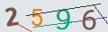verifycode